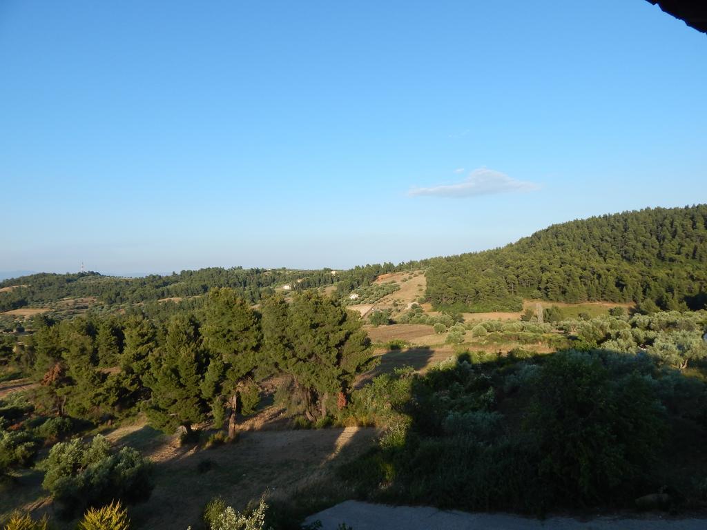 Kripis Studio פאליאורי מראה חיצוני תמונה